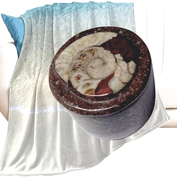 Other - .Ammonite Fossil" on the Trinket Box's Lid.